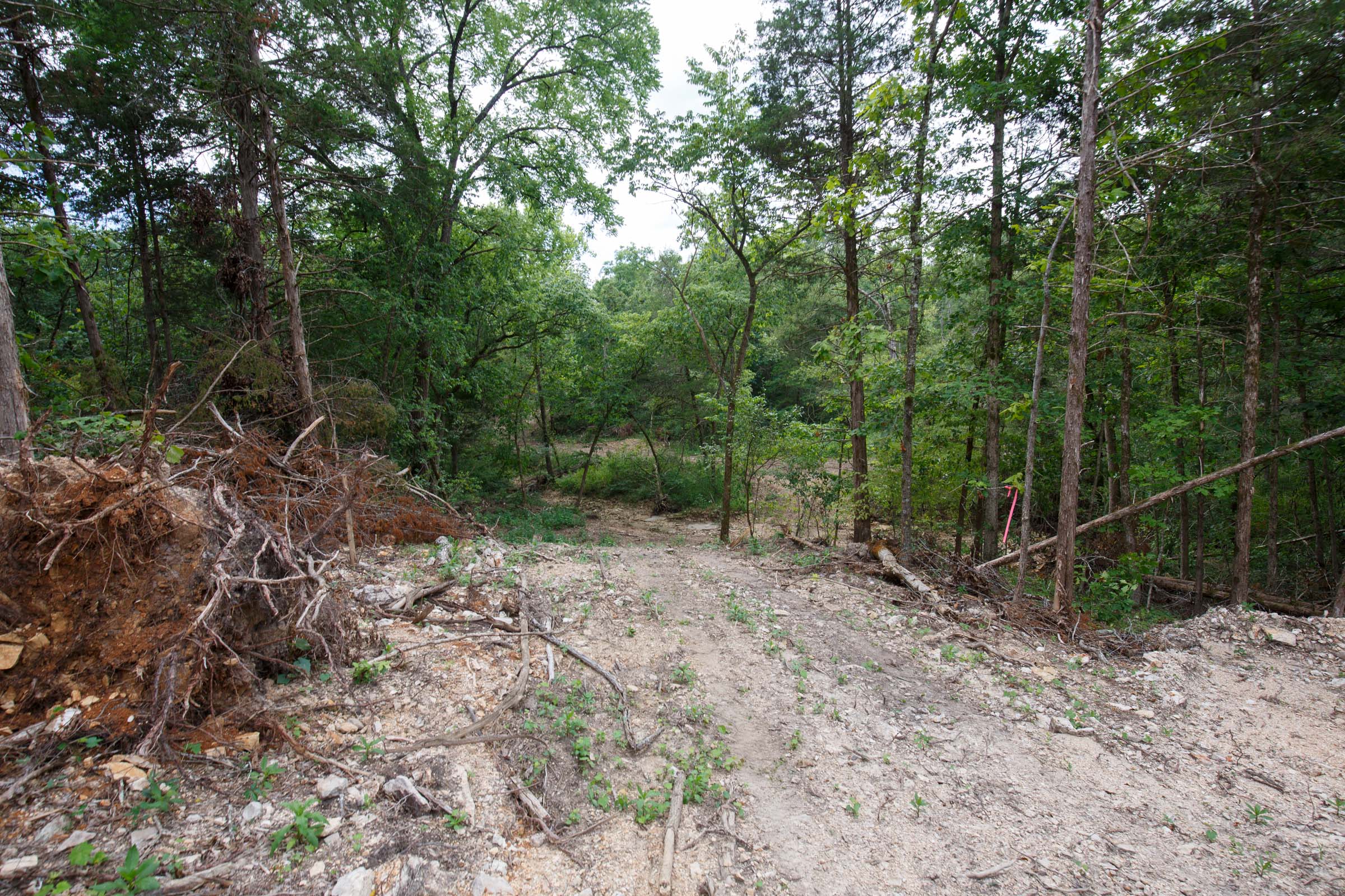 Tract 15 at Wild Wood in Taney County, Missouri