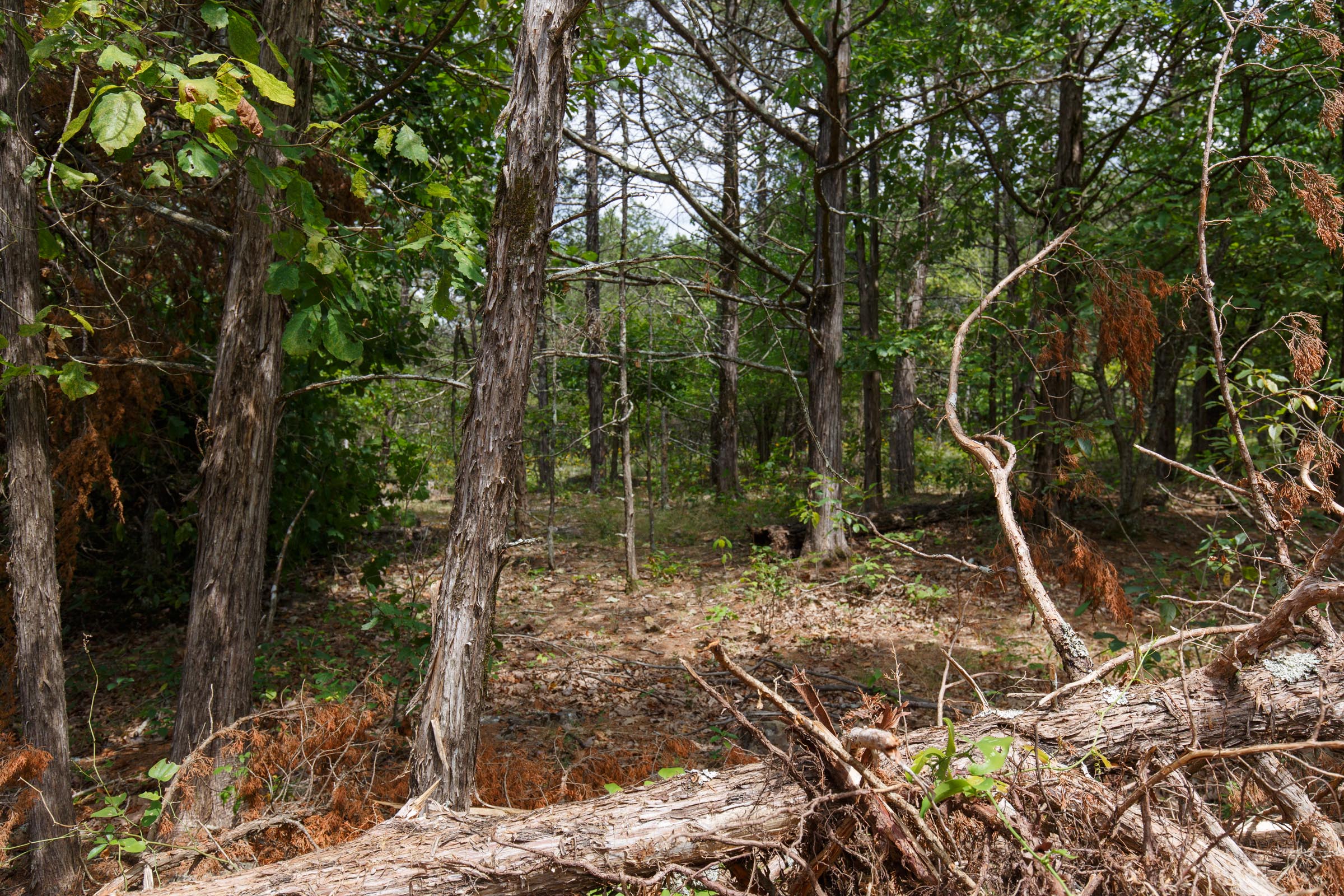 Tract 18 at Wild Wood in Taney County, Missouri