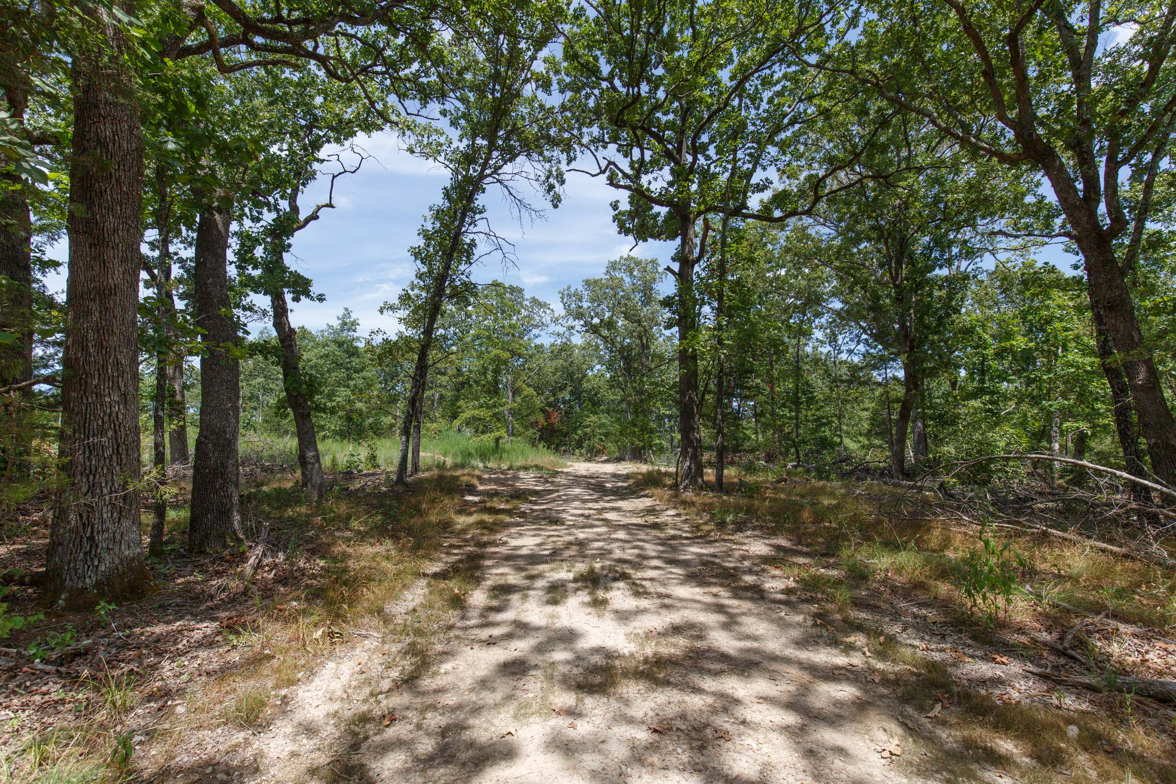 Tract 5 at Wild Wood in Taney County, Missouri